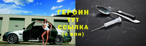сатива Новозыбков