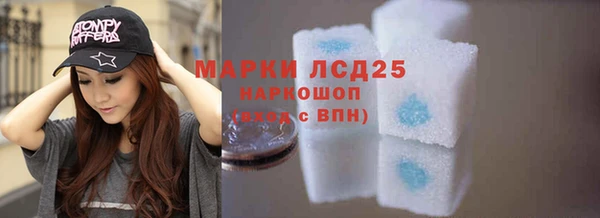 гашик Алзамай