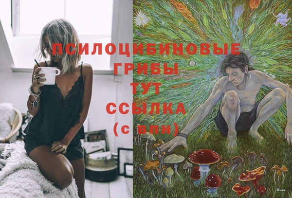 гашик Алзамай