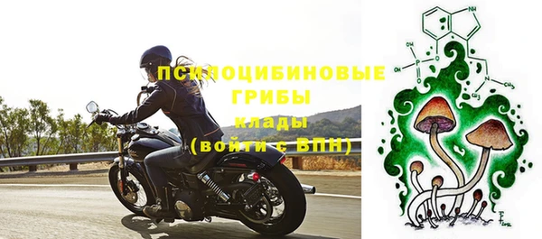 круглые Алексеевка